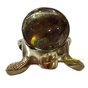 Brass-Tortoise-PSM0349